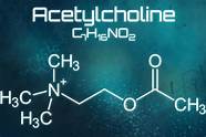 Meer info over Acetylcholine (klik hier)